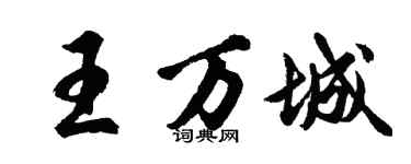 胡问遂王万城行书个性签名怎么写