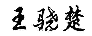 胡问遂王骁楚行书个性签名怎么写
