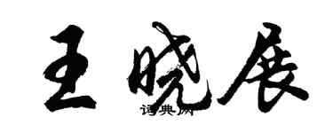 胡问遂王晓展行书个性签名怎么写