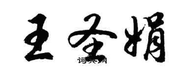 胡问遂王圣娟行书个性签名怎么写