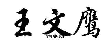胡问遂王文鹰行书个性签名怎么写