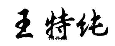 胡问遂王特纯行书个性签名怎么写