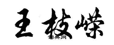 胡问遂王枝嵘行书个性签名怎么写