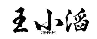 胡问遂王小滔行书个性签名怎么写