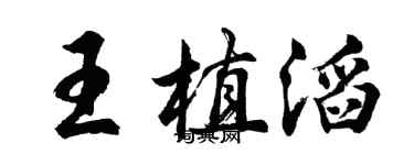 胡问遂王植滔行书个性签名怎么写