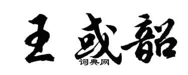 胡问遂王或韶行书个性签名怎么写