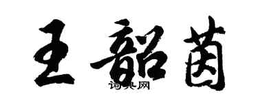 胡问遂王韶茵行书个性签名怎么写