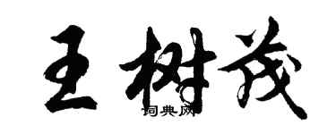 胡问遂王树茂行书个性签名怎么写