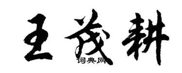 胡问遂王茂耕行书个性签名怎么写