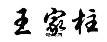 胡问遂王家柱行书个性签名怎么写