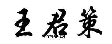 胡问遂王君策行书个性签名怎么写