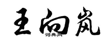 胡问遂王向岚行书个性签名怎么写