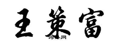 胡问遂王策富行书个性签名怎么写