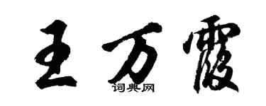 胡问遂王万霞行书个性签名怎么写