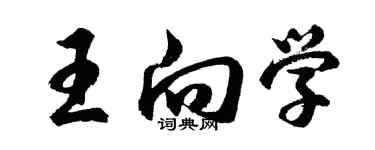 胡问遂王向学行书个性签名怎么写