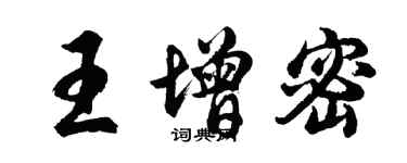 胡问遂王增密行书个性签名怎么写
