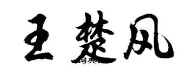 胡问遂王楚风行书个性签名怎么写