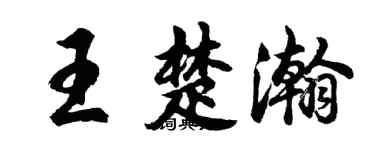 胡问遂王楚瀚行书个性签名怎么写