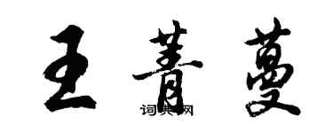 胡问遂王菁蔓行书个性签名怎么写