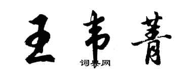 胡问遂王韦菁行书个性签名怎么写