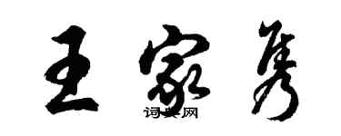 胡问遂王家隽行书个性签名怎么写