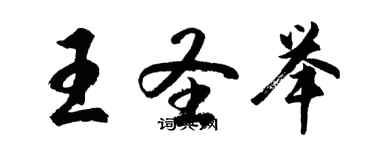 胡问遂王圣举行书个性签名怎么写