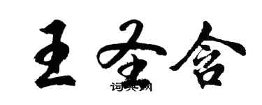 胡问遂王圣含行书个性签名怎么写
