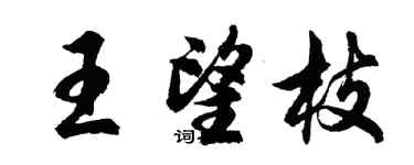 胡问遂王望枝行书个性签名怎么写