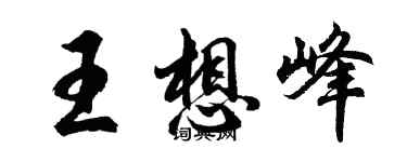 胡问遂王想峰行书个性签名怎么写