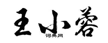 胡问遂王小蓉行书个性签名怎么写