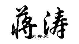 胡问遂蒋涛行书个性签名怎么写