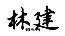 胡问遂林建行书个性签名怎么写