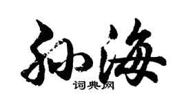 胡问遂孙海行书个性签名怎么写