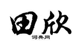 胡问遂田欣行书个性签名怎么写