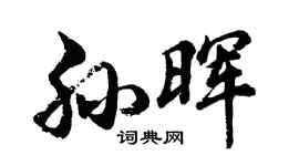胡问遂孙晖行书个性签名怎么写