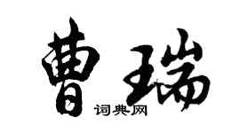 胡问遂曹瑞行书个性签名怎么写
