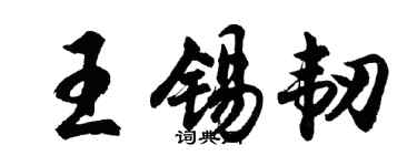 胡问遂王锡韧行书个性签名怎么写