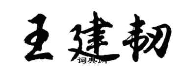 胡问遂王建韧行书个性签名怎么写