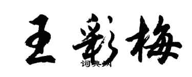 胡问遂王彩梅行书个性签名怎么写