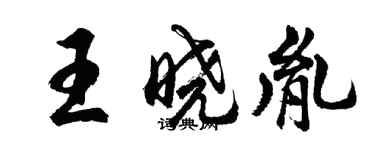 胡问遂王晓胤行书个性签名怎么写