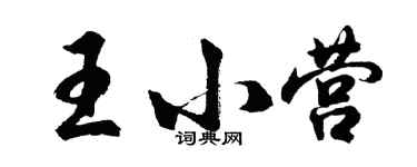 胡问遂王小营行书个性签名怎么写
