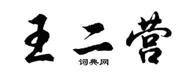 胡问遂王二营行书个性签名怎么写