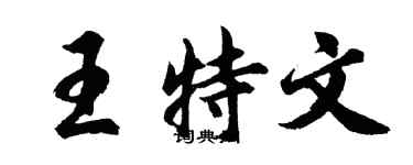 胡问遂王特文行书个性签名怎么写
