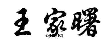 胡问遂王家曙行书个性签名怎么写