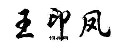胡问遂王印凤行书个性签名怎么写