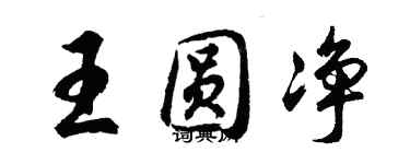 胡问遂王圆净行书个性签名怎么写