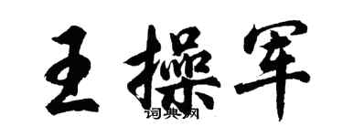 胡问遂王操军行书个性签名怎么写