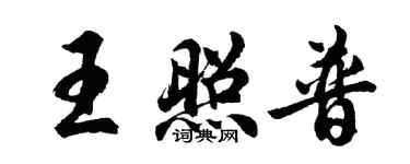 胡问遂王照普行书个性签名怎么写