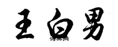 胡问遂王白男行书个性签名怎么写
