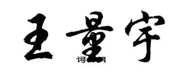 胡问遂王量宇行书个性签名怎么写